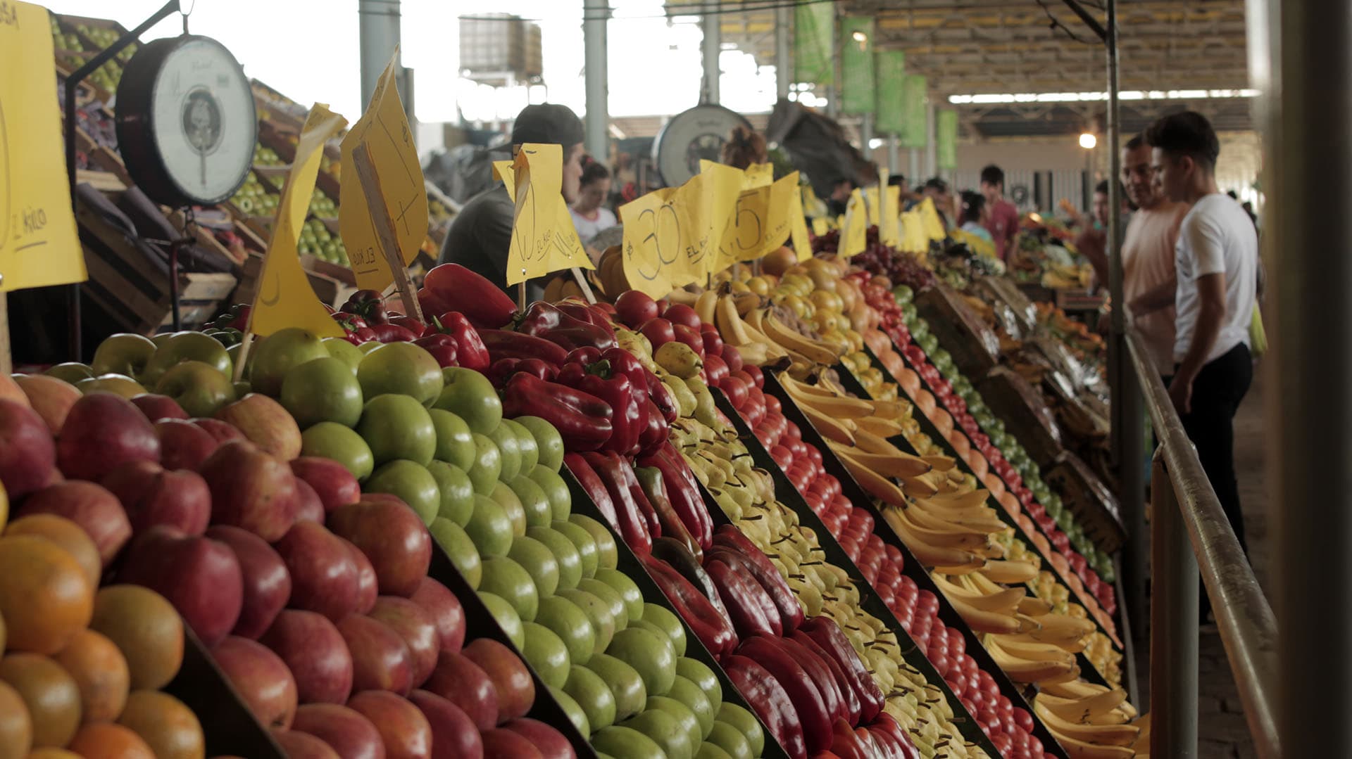 La UTT inaugurará una nave para pequeños productores en el Mercado Central