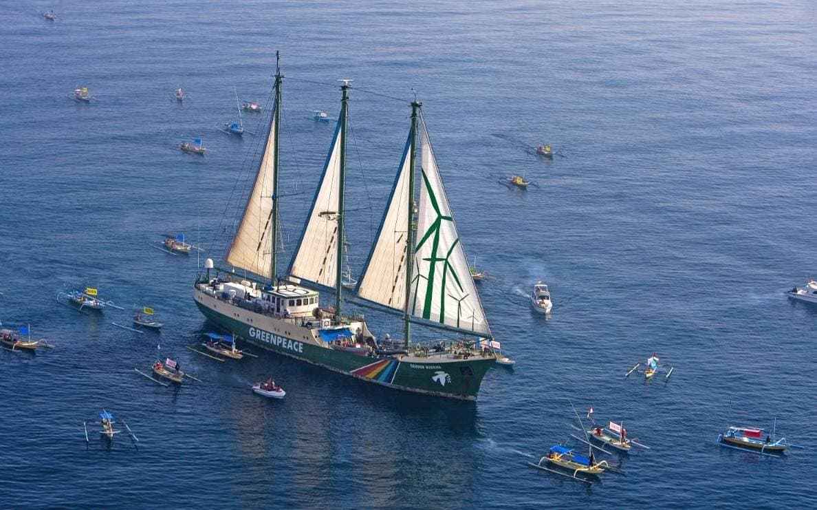 Greenpeace: la pesca desregulada en el océano Atlántico impide que los ecosistemas «se recuperen»
