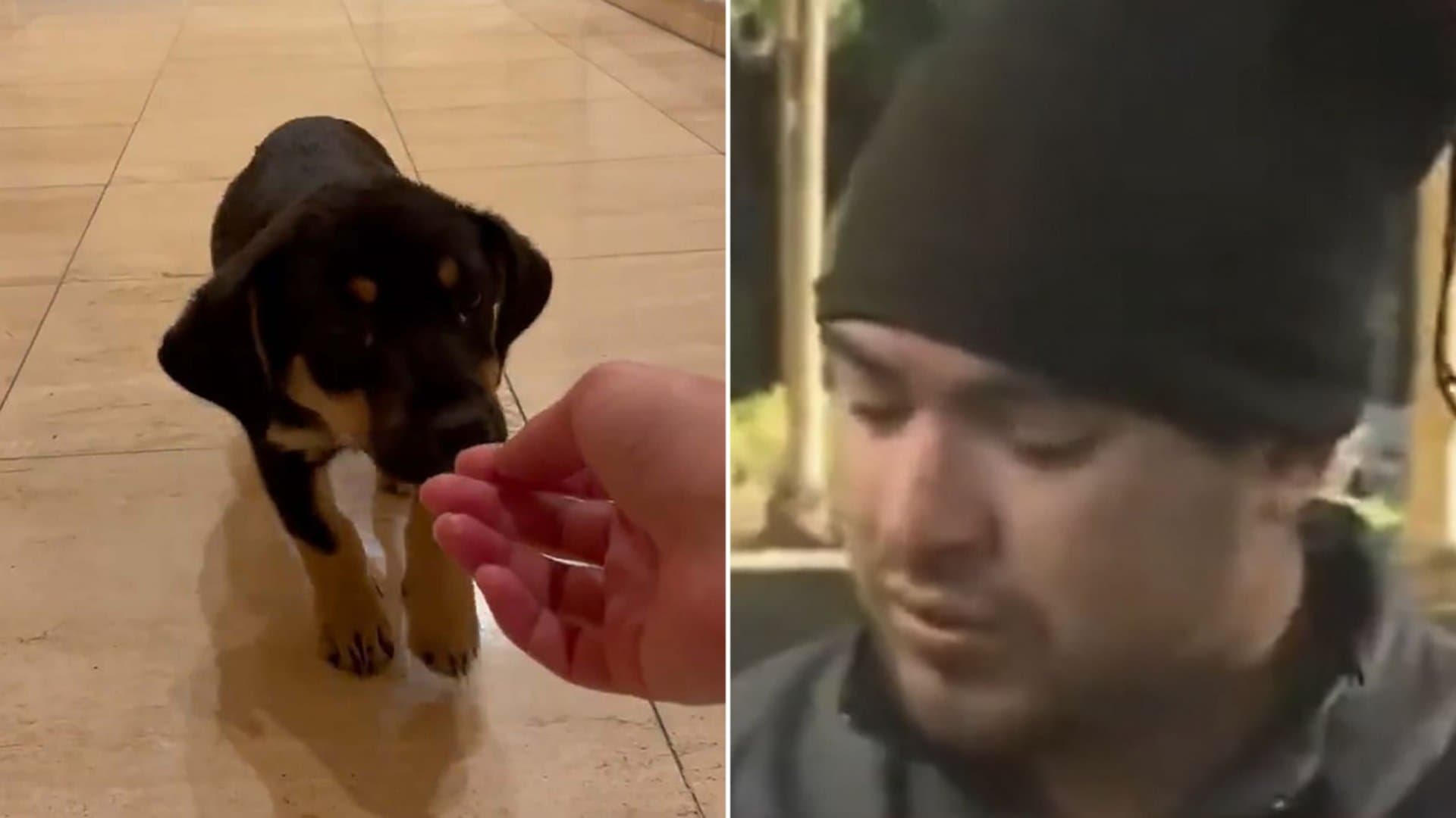 Recoleta: le robó el perro a un indigente porque lo tenía en “condiciones deplorables” y la escracharon en redes sociales