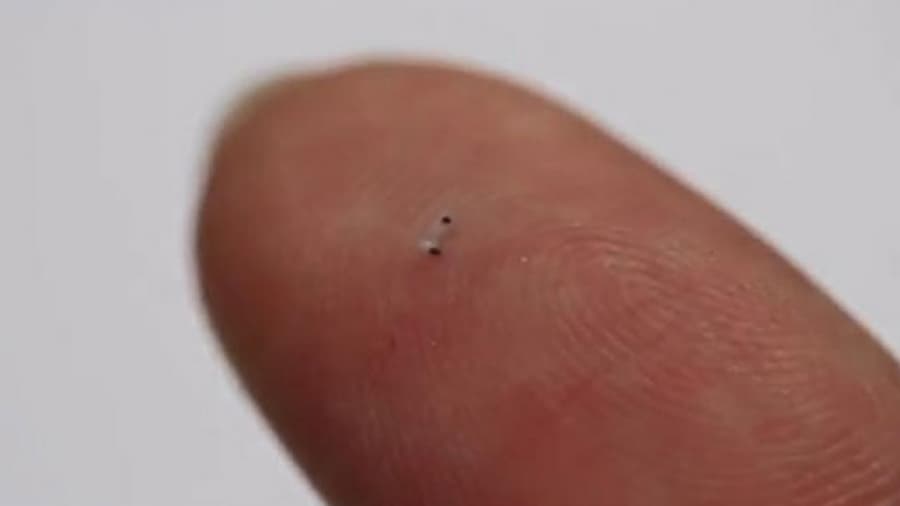 Diseñan robots minúsculos que pueden recorrer el cuerpo por dentro