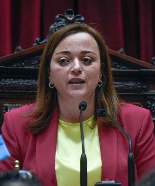 Moreau destacó los consensos obtenidos en la Cámara de Diputados y llamó a resolver diferencias con debate