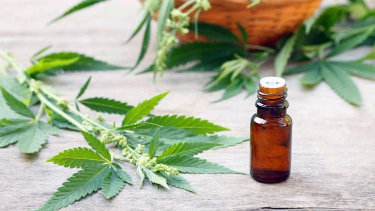 Prueban el vínculo entre la depresión y el trastorno bipolar con el consumo excesivo de cannabis