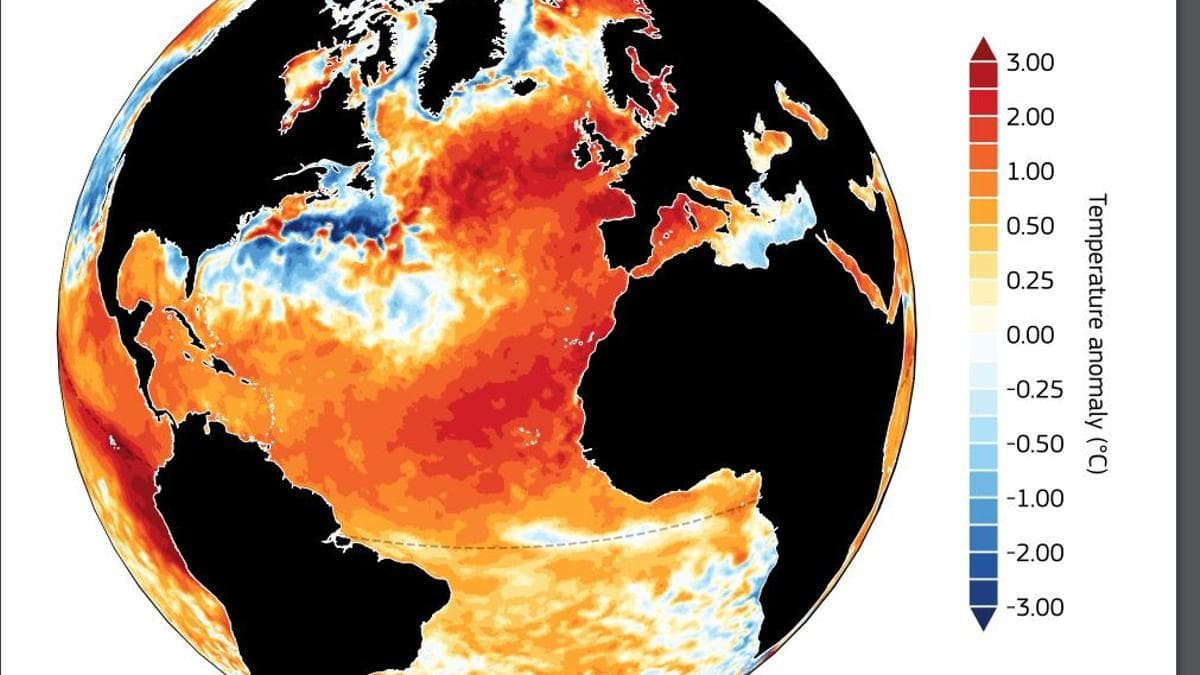 La primera semana de julio fue la más cálida jamás registrada en el planeta