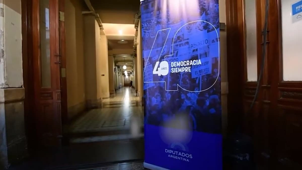 Diputados reflexionaron sobre la importancia de que se hayan cumplido 40 años interrumpidos en democracia