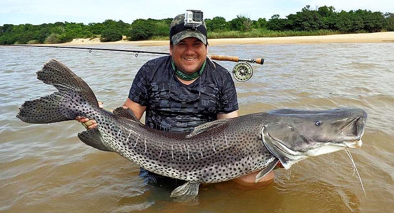 Hay recompensa para quienes pesquen surubíes marcados en el río Uruguay