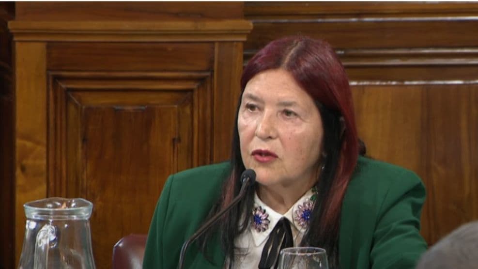 En una resolución del Consejo de la Magistratura, el oficialismo avaló que Ana Figueroa no es más jueza