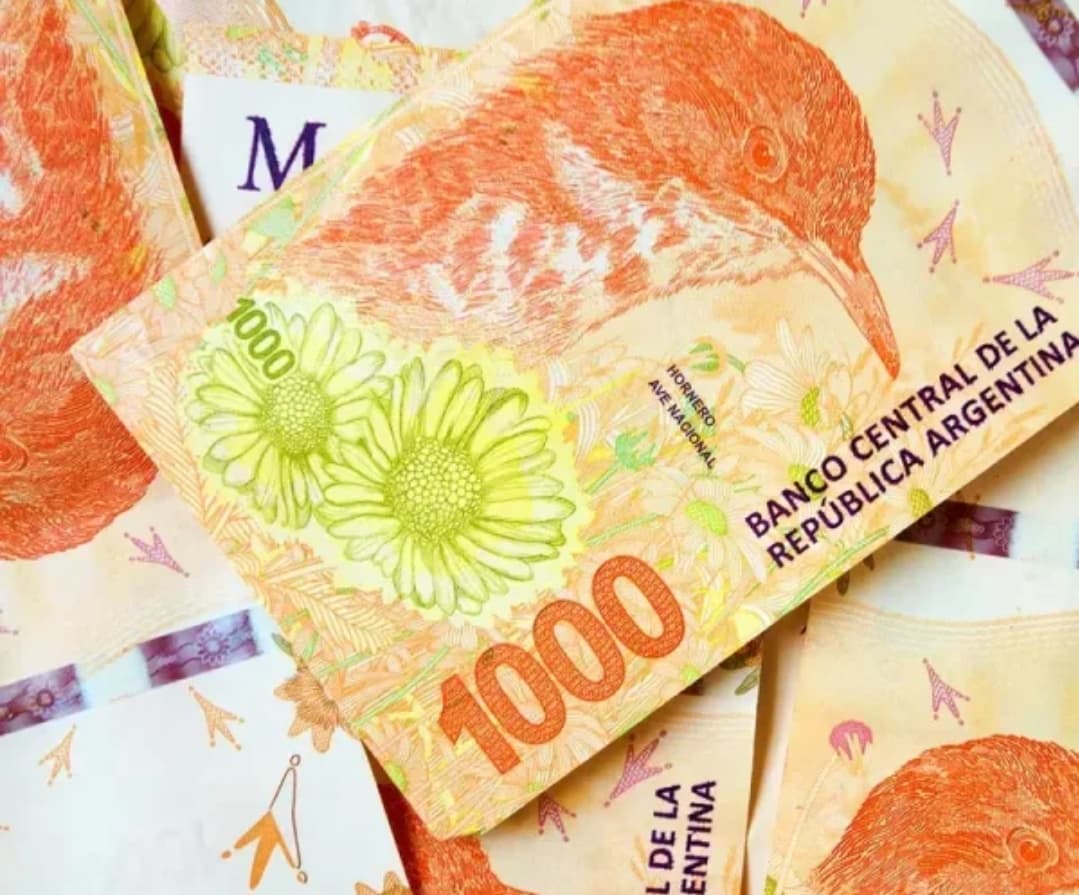 Comienza el pago del nuevo IFE: el calendario para saber cuándo cobro