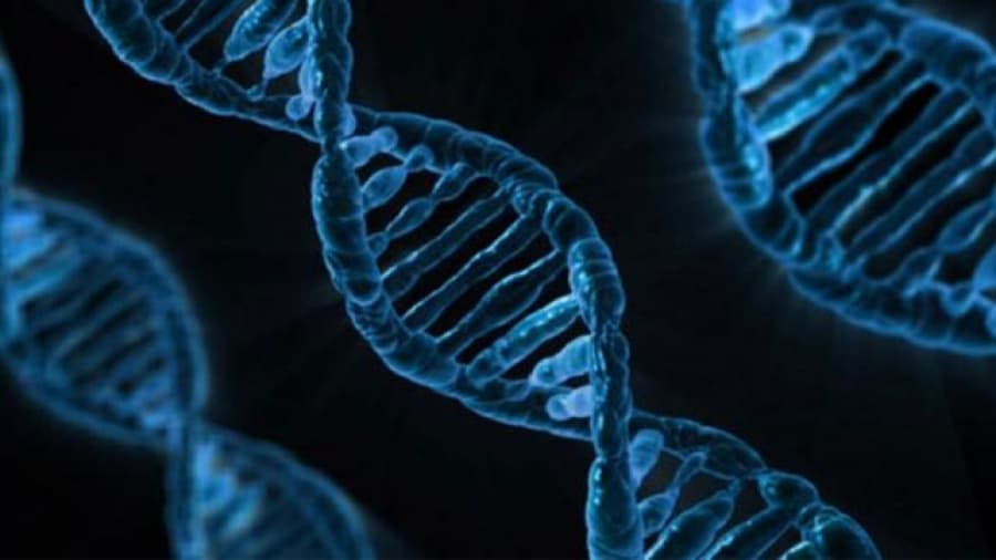 Google desarrolla nanopartículas para la detección del cáncer.