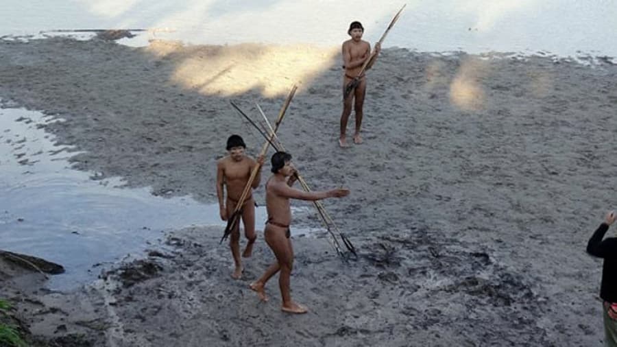 Amazonas: primer contacto de una tribu con la «civilización»