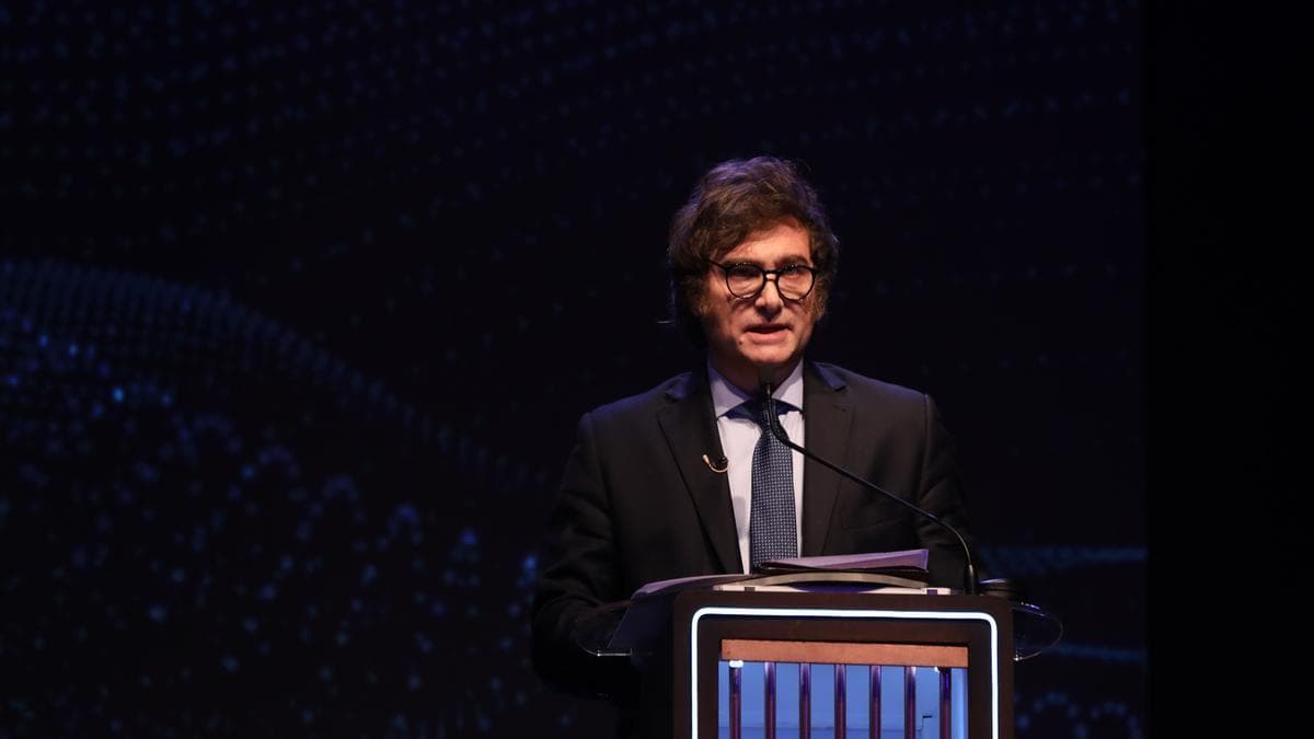 Para Javier Milei es posible salir del cepo sin tener un acuerdo con el FMI que traiga fondos frescos