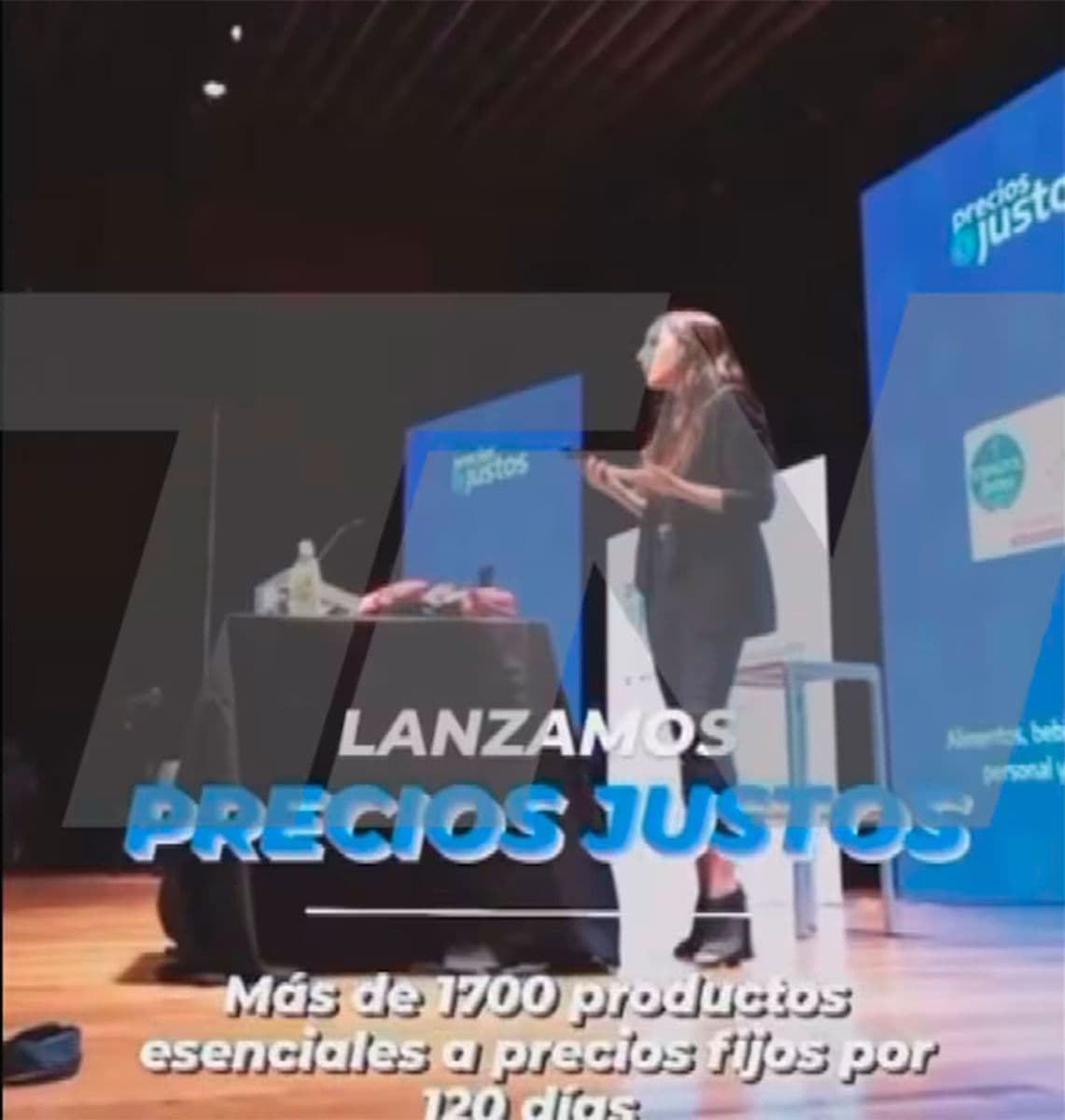 Tamara Pettinato fue contratada para conducir un evento oficial durante la gestión de Alberto Fernández