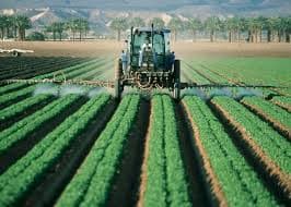 La CEPAL proyectó que el comercio exterior en América Latina crecerá 4% en 2024: qué va a pasar en Argentina