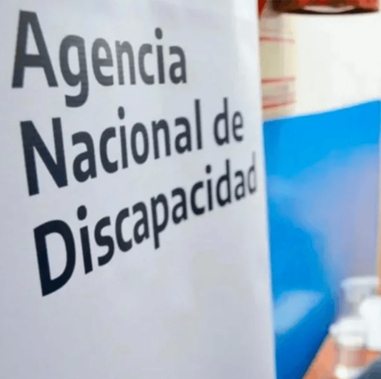 Chaco: detectan irregularidades en más del 60% de las pensiones por incapacidad laboral