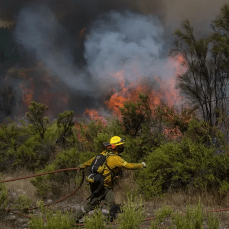 El Gobierno tratará un proyecto para agravar las penas para quienes provoquen incendios