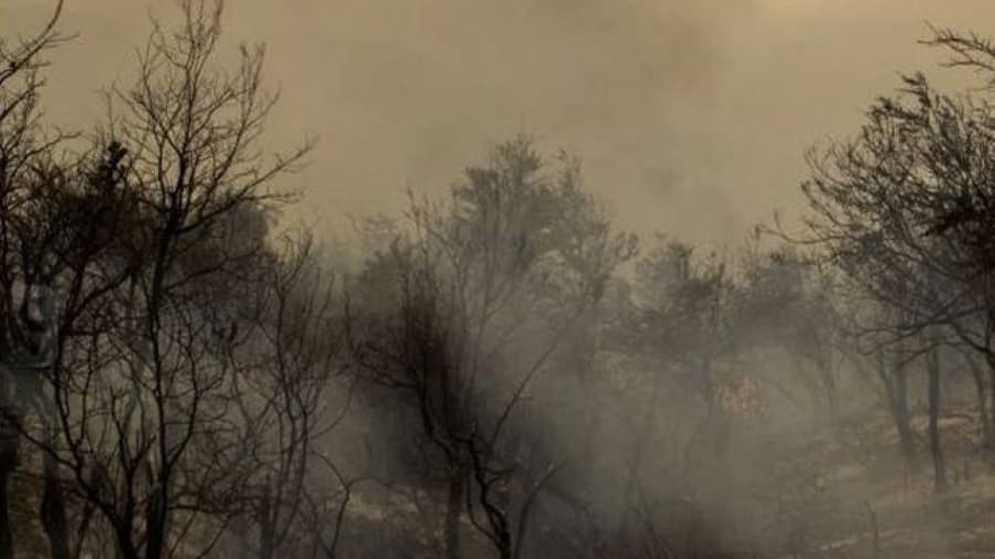 Los incendios en Chubut no dan tregua: el fuego ya alcanzó a varias viviendas