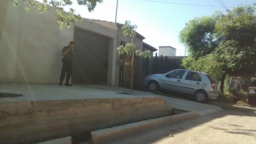 Perros: La municipalidad se llevará a los pitbull