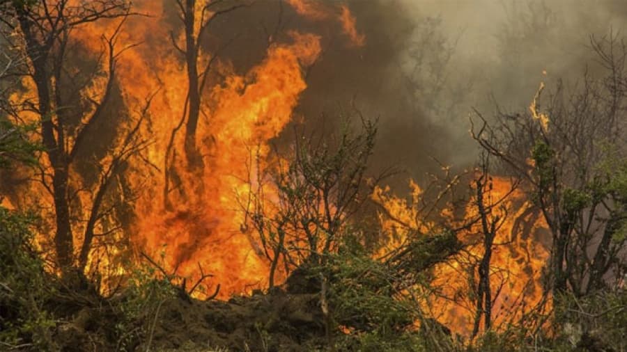 Chubut: los brigadistas denuncian que no tienen instrumental para combatir el fuego