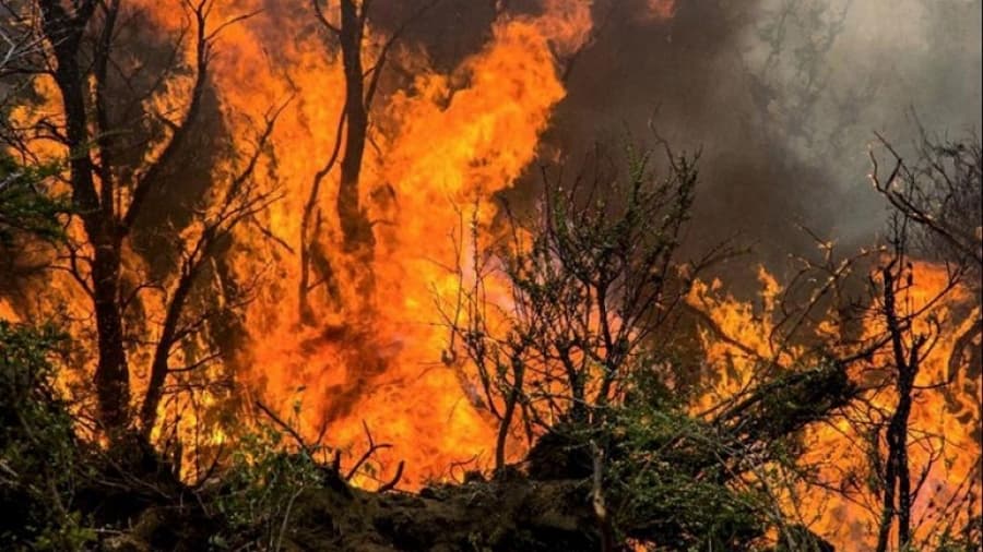 Hay 30 mil hectáreas de bosque quemadas y cinco focos activos por los incendios forestales en Chubut