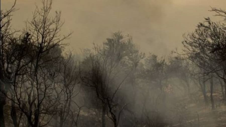 En Chubut el denso humo impide la acción de los aviones hidrantes