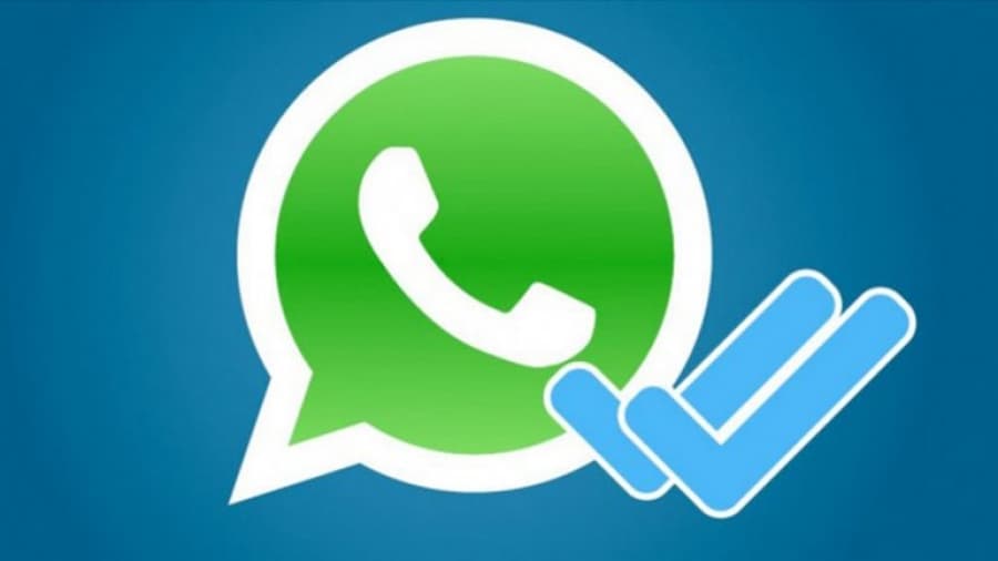 Detienen a 16 personas tras revisar sus WhatsApp