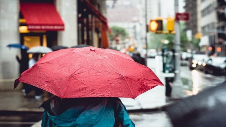 ¿Por qué se produce el «olor a lluvia»?