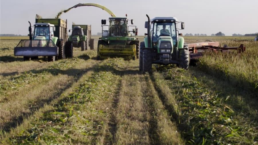 La Sociedad Rural advirtió que «el sector triguero atraviesa la peor crisis económica de la última década»
