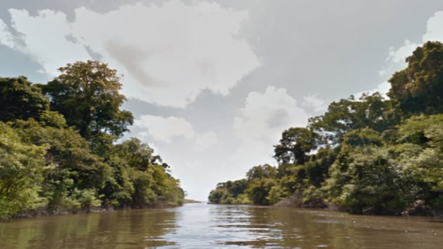 Google Street View te acerca la Selva Amazónica al sillón de tu casa, en tirolesa