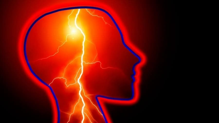 Descubren que un área especial del cerebro permite escuchar los gritos