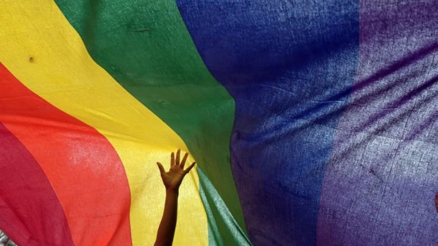 La OMS destacó la ley de Identidad de Género de Argentina como caso líder por los derechos trans