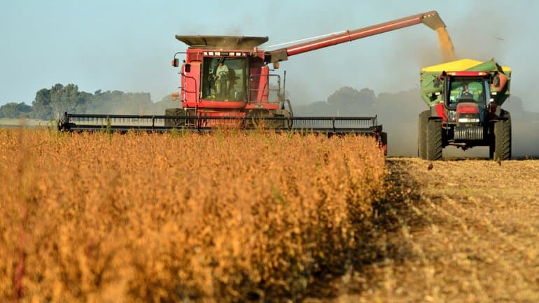 Argentina concentra el 11% de las exportaciones globales del agro