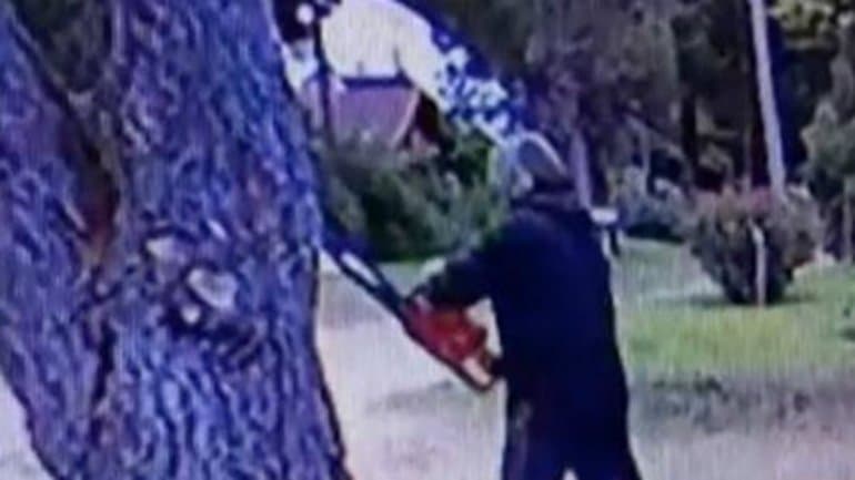 Pinamar: un hombre atacó las casas, jardines y autos de los vecinos con una motosierra
