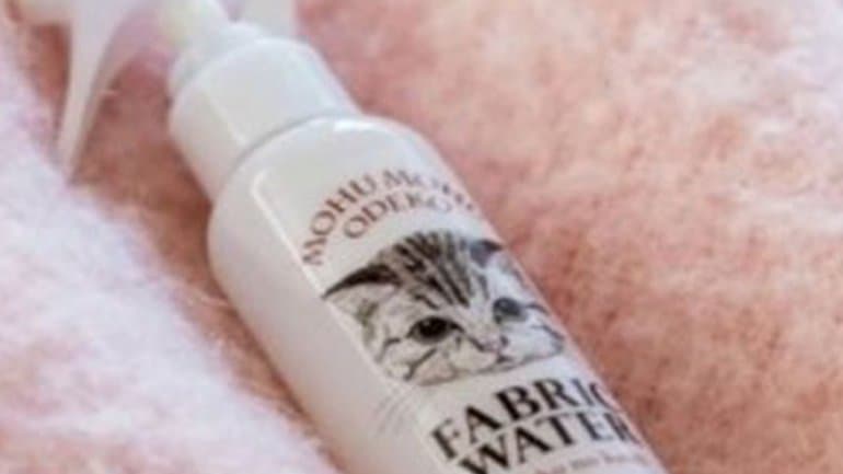 Inventiva japonesa: crearon un perfume con olor a frente de gato