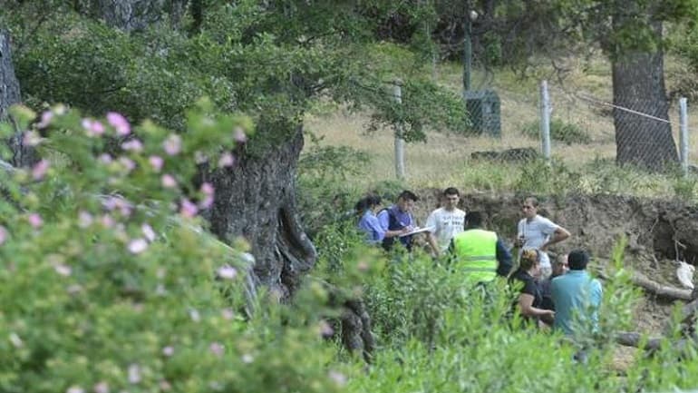Dos chicos murieron aplastados por un árbol en San Martín de los Andes