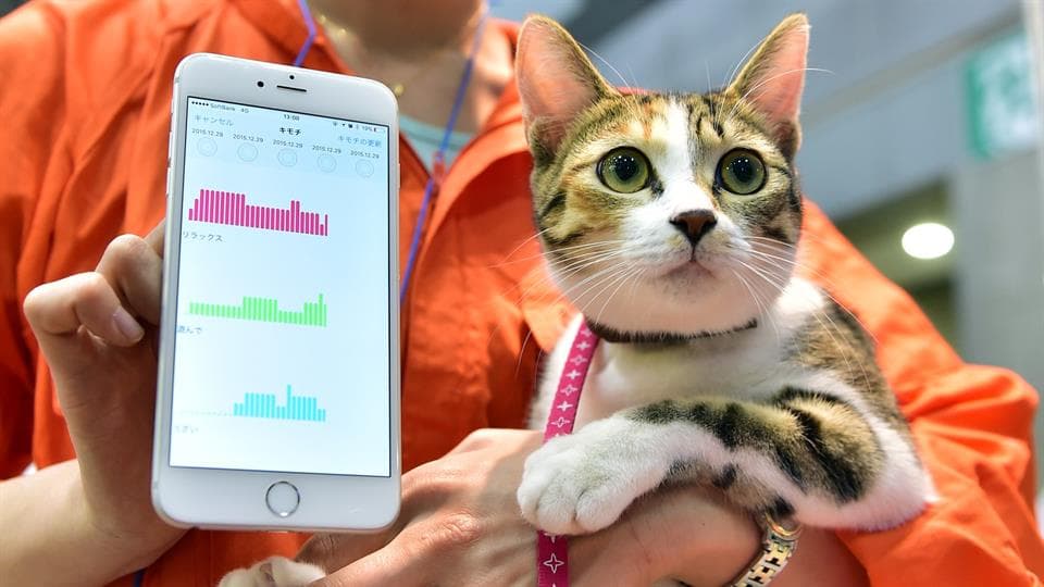 En Japón la tecnología de vestir sirve para personas y para mascotas