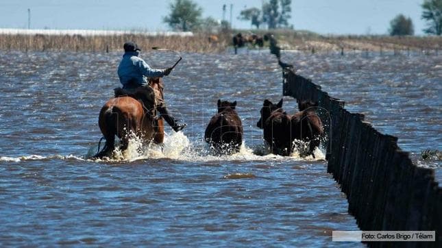 Declaran en estado de emergencia sanitaria y social a General Villegas