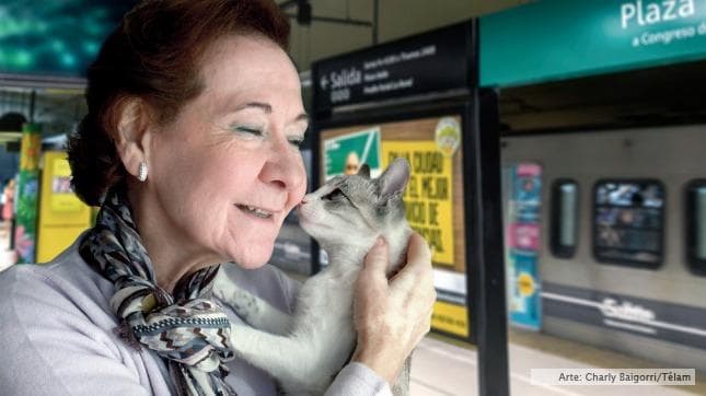 Más del 70 % de los porteños quiere que las mascotas viajen en subte