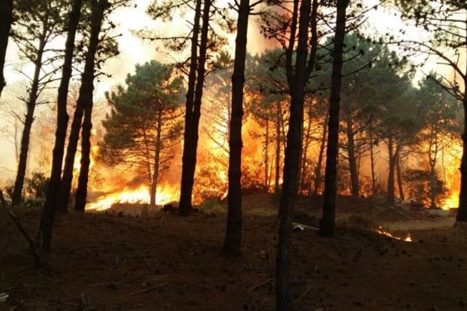Aseguran que está controlado el voraz incendio en los bosques de Valeria del Mar