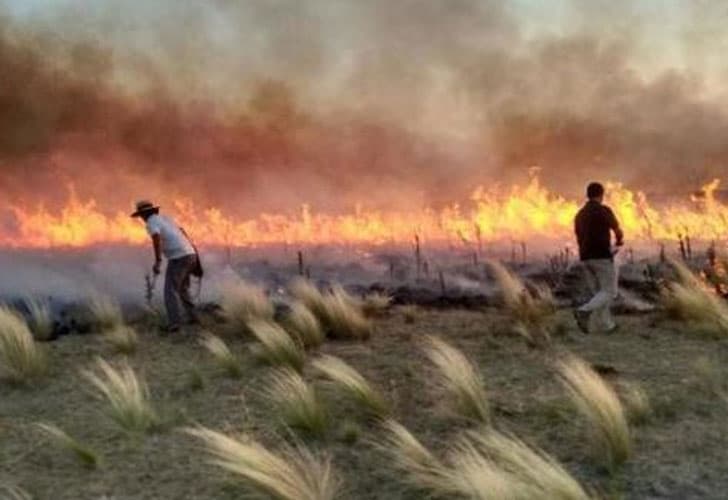 Por los incendios ya se quemaron 680 mil hectáreas