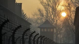 A 72 años del fin de Auschwitz, Alemania conmemora a víctimas de la eutanasia