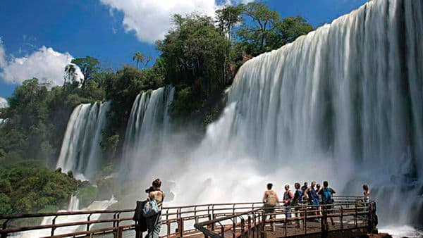 Cerraron las Cataratas del Iguazú para buscar a un puma que pone en peligro a los turistas