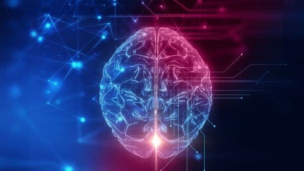 Cerebro femenino vs. masculino: cuál es el más apto para el éxito