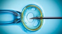A 40 años de la primera fecundación «in vitro», investigan cómo crear úteros artificiales