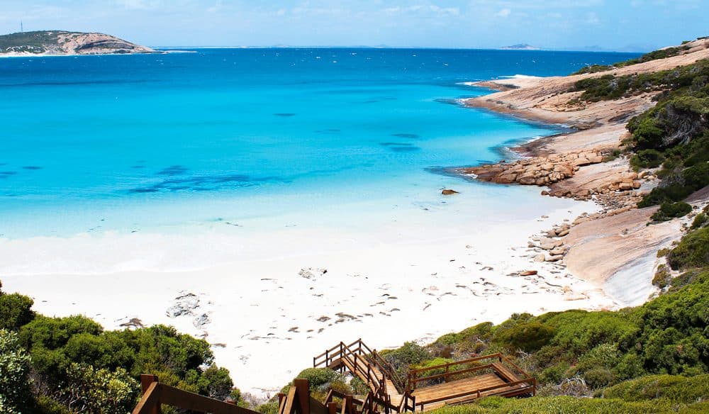 Un tiburón blanco mató a una joven australiana mientras surfeaba junto a su padre