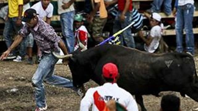 La brutal corrida de toros que tiene indignada a Colombia
