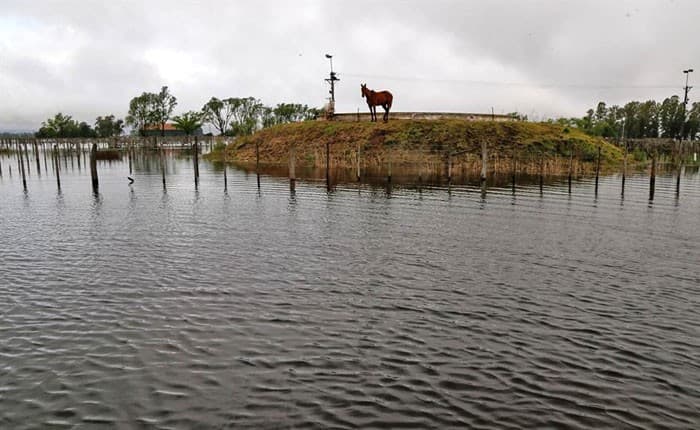 El intendente de General Villegas dijo que «si el agua va para Pehuajó, habrá que hacer obras» en ese distrito