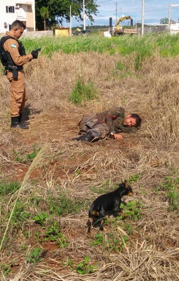 Persecución y tiroteo en Brasil tras el robo millonario en Paraguay: las autoridades confirmaron tres muertos y cuatro detenidos