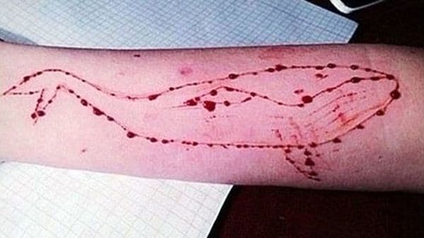 «La ballena azul», el siniestro juego suicida ya llegó a Sudamérica