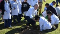 La ciudad de Buenos Aires amplía los espacios verdes con 20 mil árboles