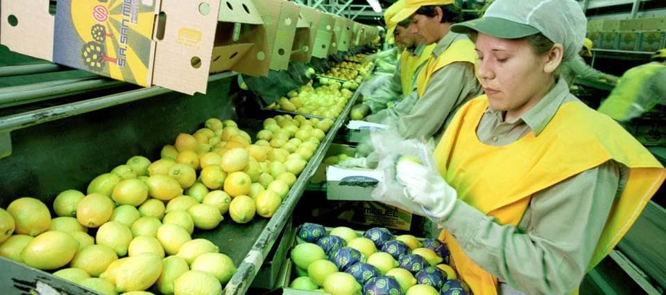 Los trabajadores del limón acordaron un aumento salarial del 31% y levantaron los cortes de ruta