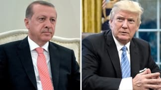 Trump y Erdogan ratificaron su alianza, pese al apoyo de Estadounidense a los sirios-kurdos